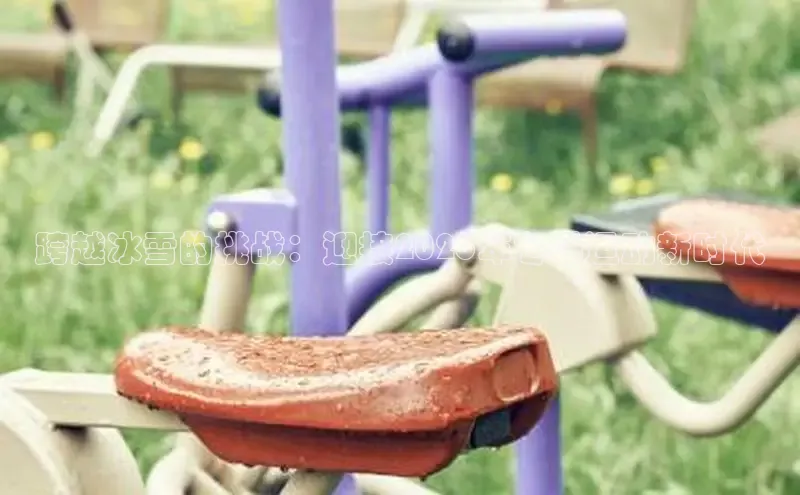 熊猫体育app官网入口